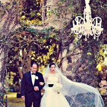 modernweddingshawaii.com